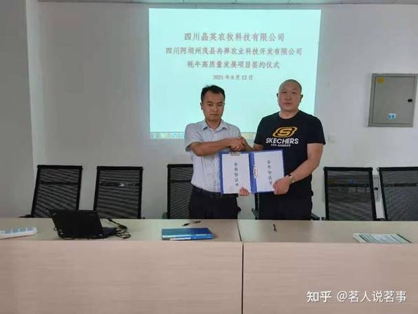 茂县冉莽农业科技公司: 牛哞羊咩缺草实难熬 越冬渡春有新招