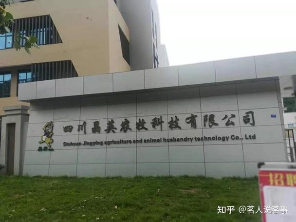茂县冉莽农业科技公司: 牛哞羊咩缺草实难熬 越冬渡春有新招